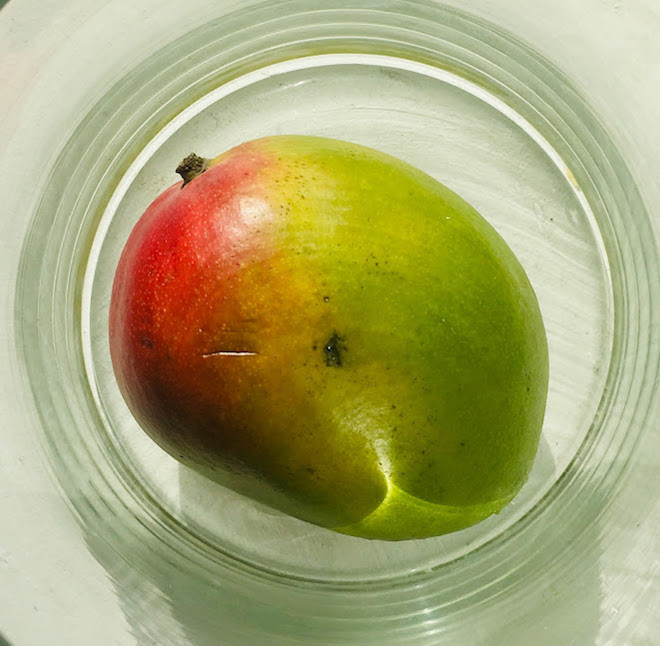 Mango 1