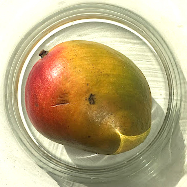 Mango 14