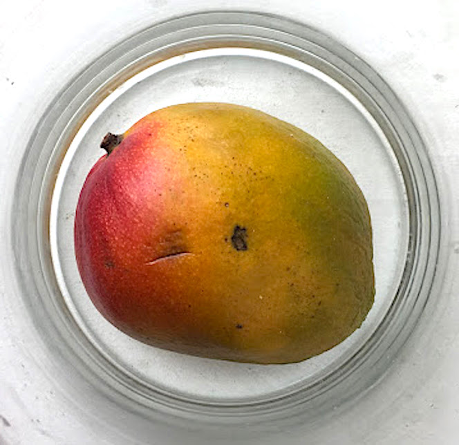 Mango 19