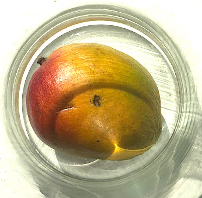 Mango 21