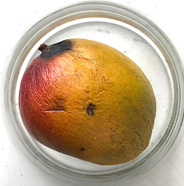 Mango 31
