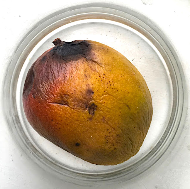 Mango 36